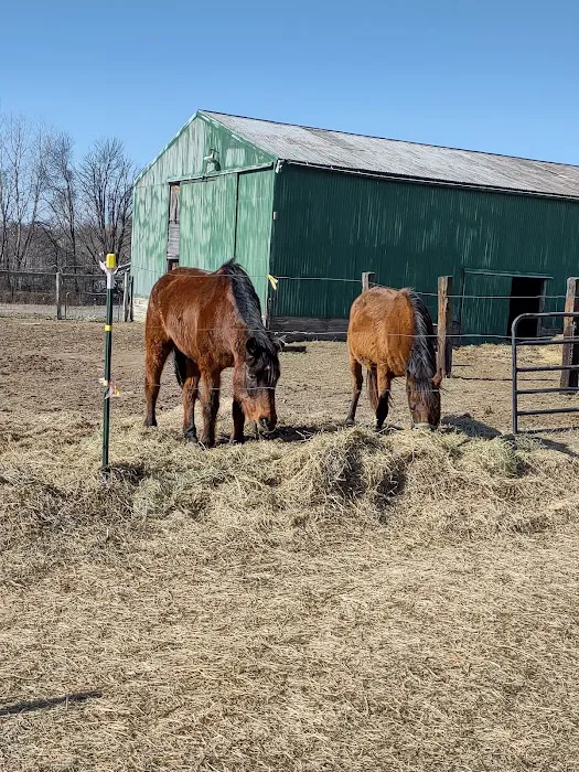 Michigan Mixed Animal Veterinary Service Inc. Picture 1