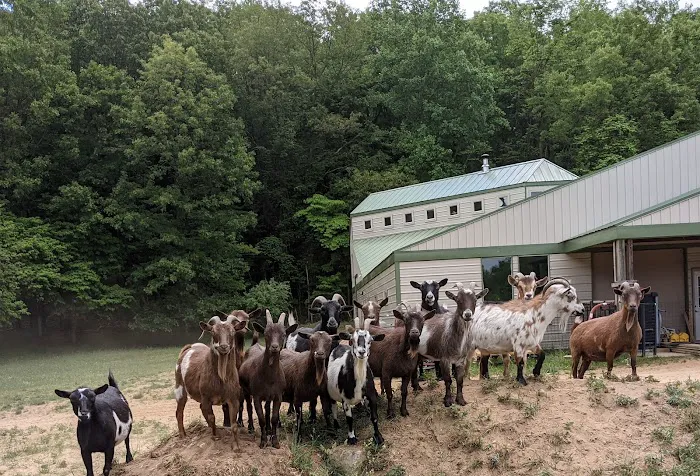 Michigan Mixed Animal Veterinary Service Inc. Picture 6