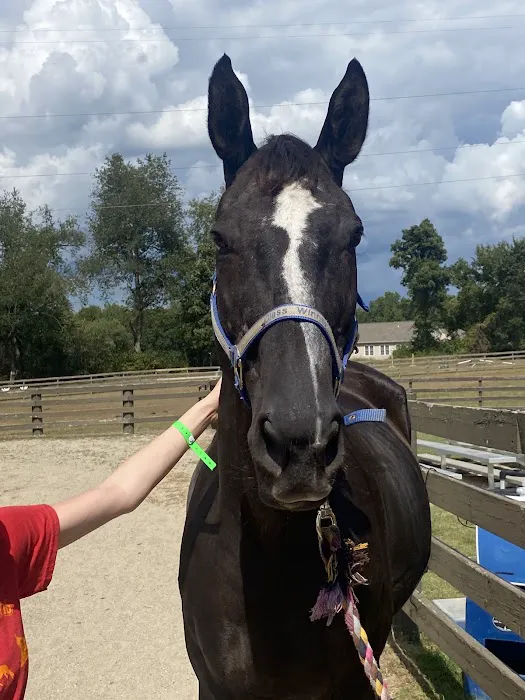 Michigan Mixed Animal Veterinary Service Inc. Picture 9