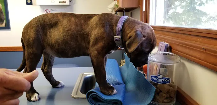 Gobles Veterinary Clinic Picture 1