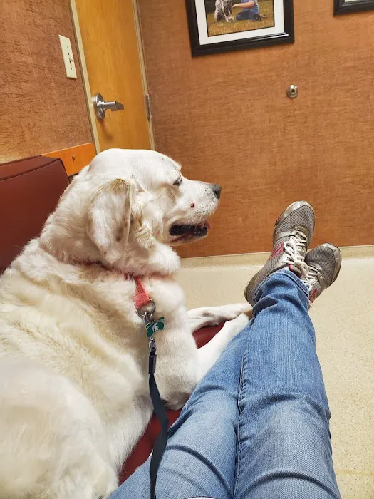 Haslett Animal Hospital Picture 1