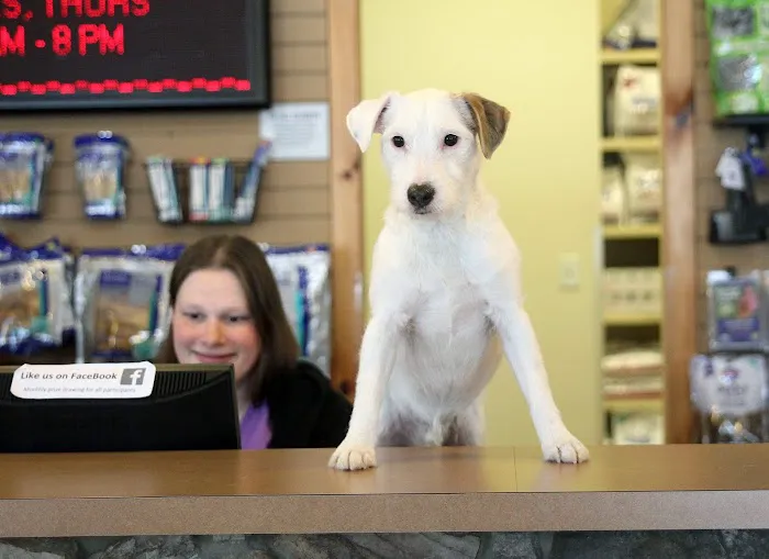 Haslett Animal Hospital Picture 9
