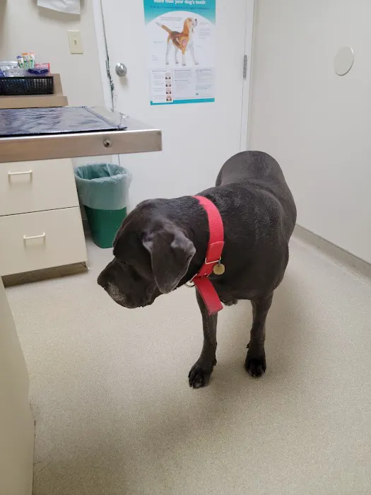 East Lansing Veterinary Clinic Picture 1