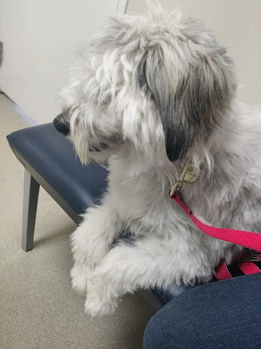 East Lansing Veterinary Clinic Picture 3