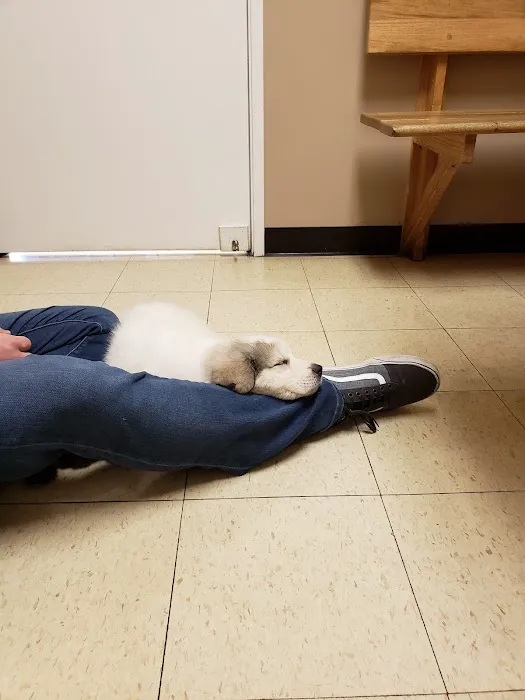 East Lansing Veterinary Clinic Picture 6