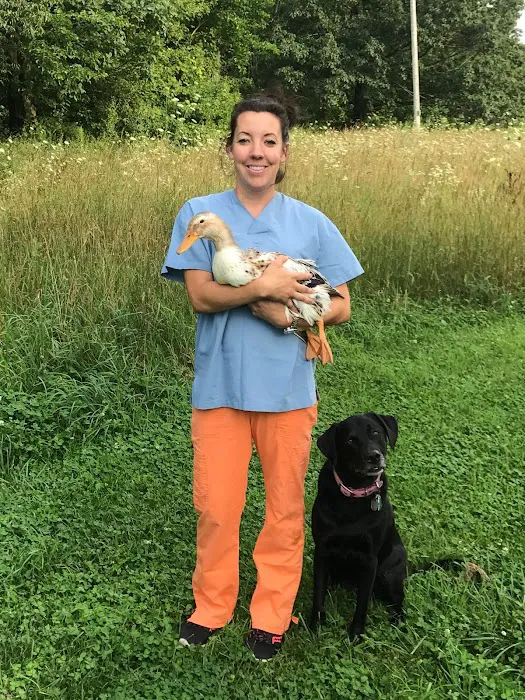 East Lansing Veterinary Clinic Picture 10