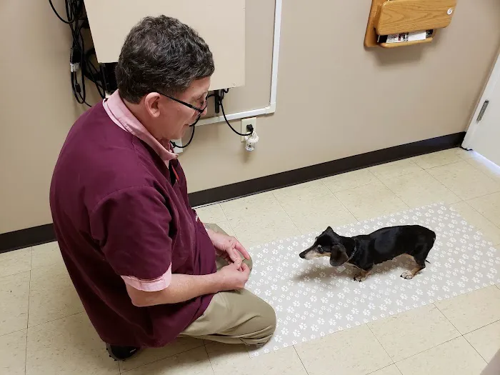 East Lansing Veterinary Clinic Picture 9