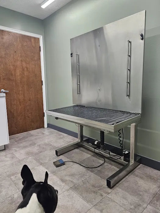 Abbott Road Animal Clinic Picture 6