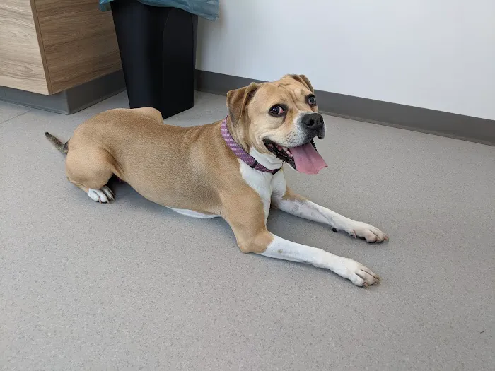 Sterner Veterinary Clinic Picture 9