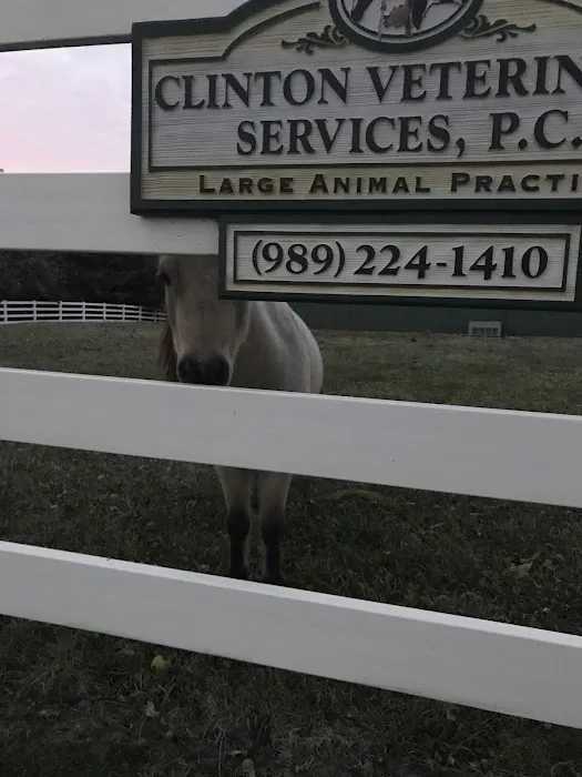 Clinton Veterinary Services: Seifferlein R W DVM Picture 1