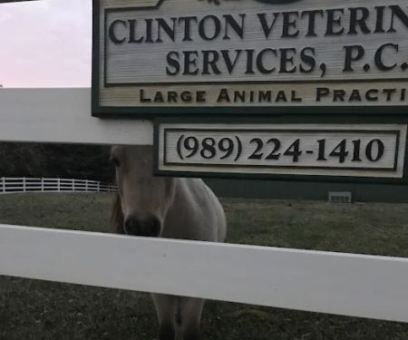 Clinton Veterinary Services: Seifferlein R W DVM