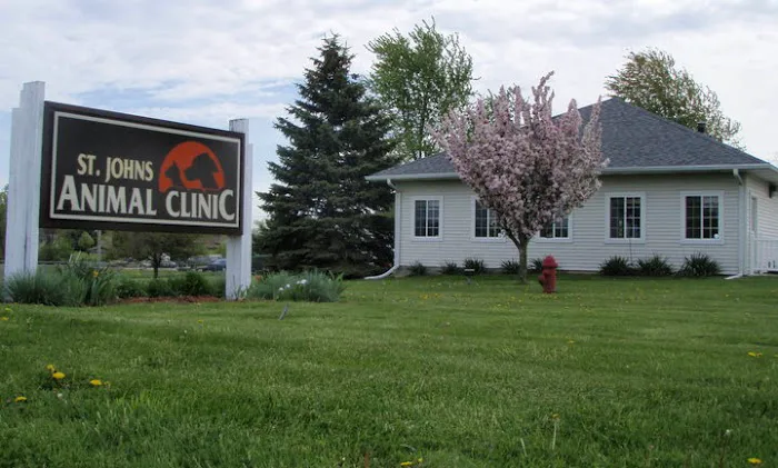 St Johns Animal Clinic Picture 7