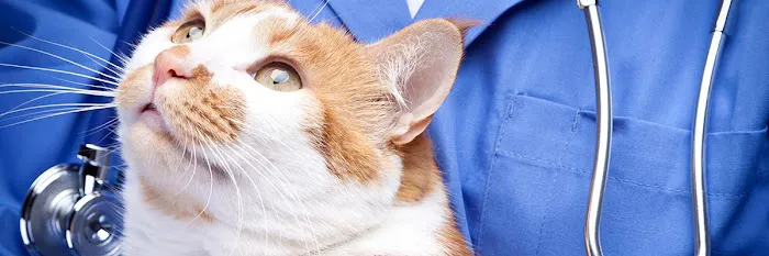 Clinton Veterinary Service PC Picture 1
