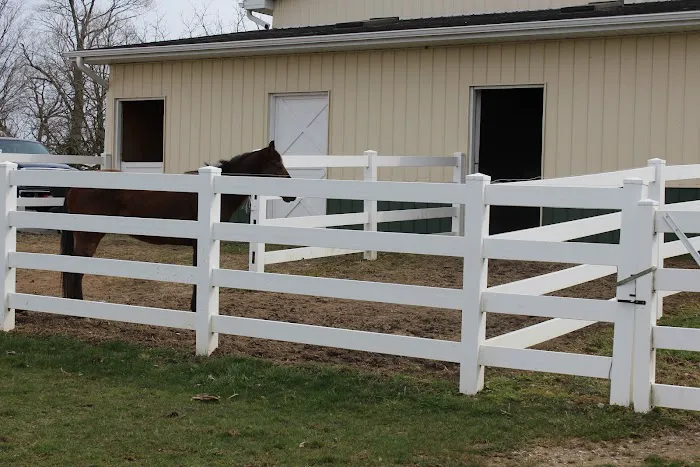 Clinton Veterinary Service PC Picture 2