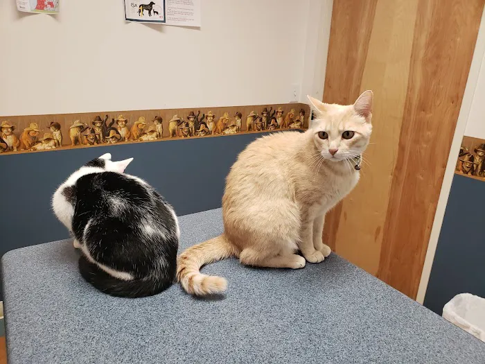 Bluegrass Animal Clinic Picture 7
