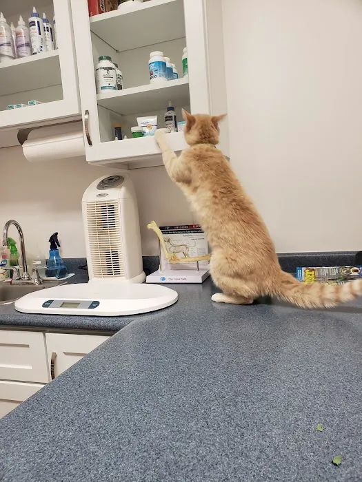 Bluegrass Animal Clinic Picture 9