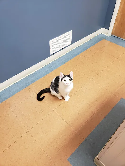 Bluegrass Animal Clinic Picture 10