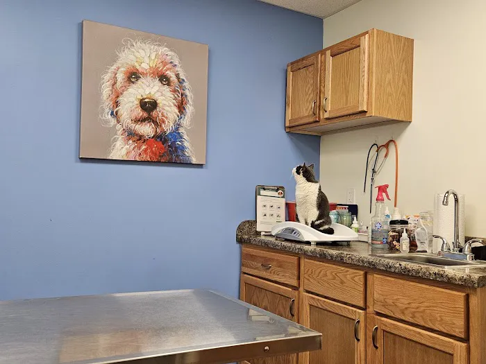 Companion Animal Veterinary Clinic, Inc. Picture 5