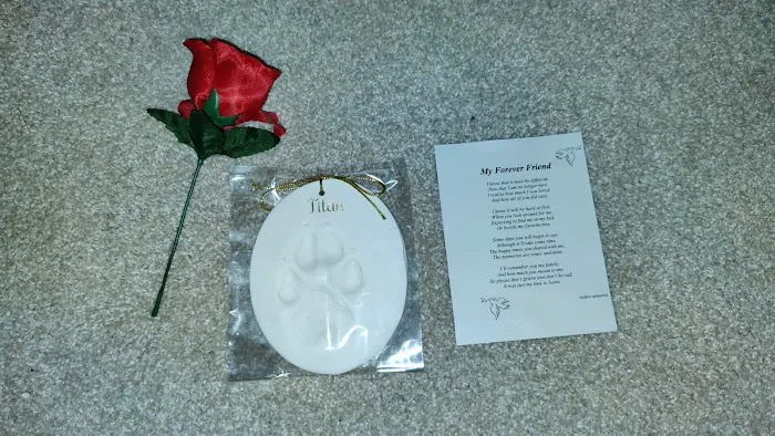 Companion Animal Veterinary Clinic, Inc. Picture 7