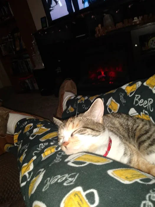 Spay Neuter Express Picture 1