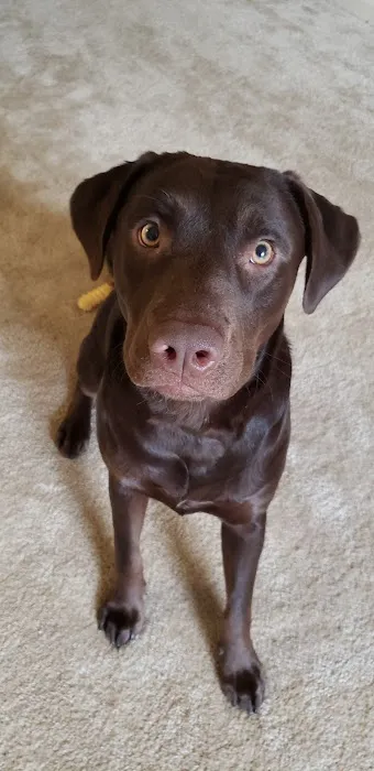 Spay Neuter Express Picture 7