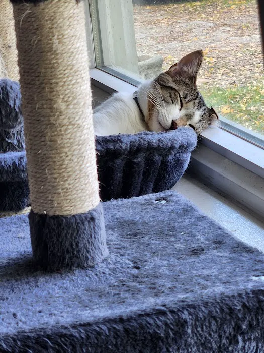 Spay Neuter Express Picture 9