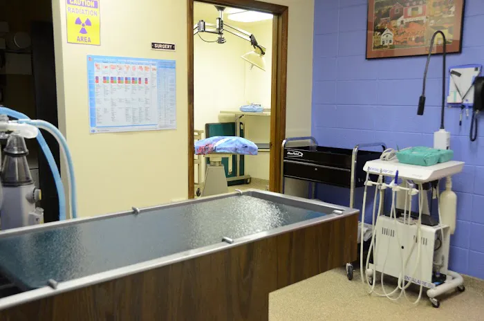 Pine Lake Animal Hospital Inc Picture 5