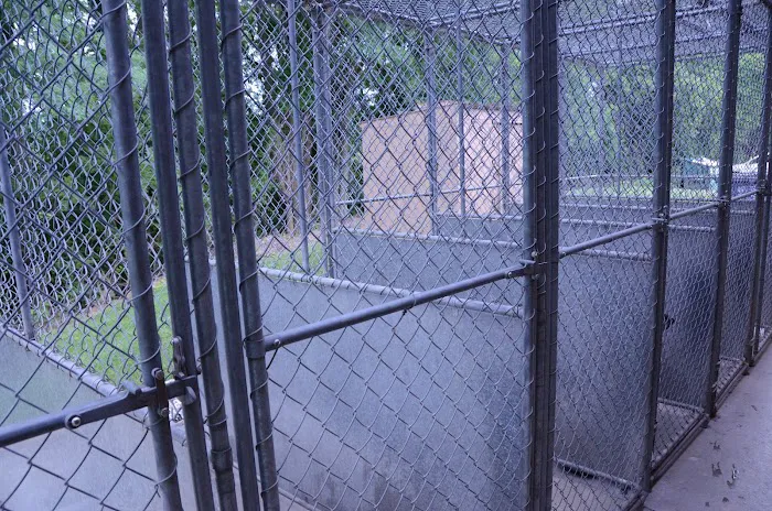 Pine Lake Animal Hospital Inc Picture 1
