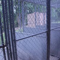 Pine Lake Animal Hospital Inc ico