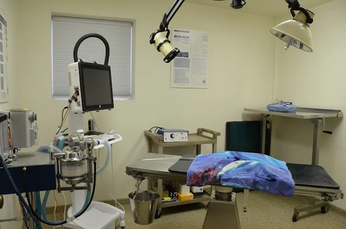 Pine Lake Animal Hospital Inc Picture 8