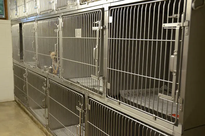 Pine Lake Animal Hospital Inc Picture 7