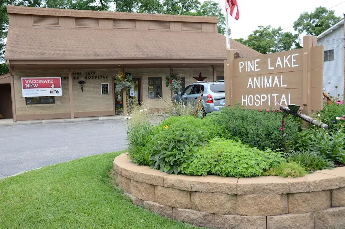 Pine Lake Animal Hospital Inc Picture 10