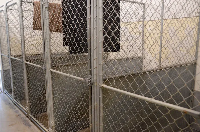 Pine Lake Animal Hospital Inc Picture 9
