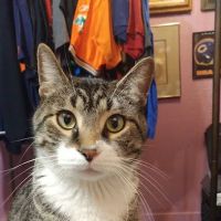 La Porte Animal Hospital ico