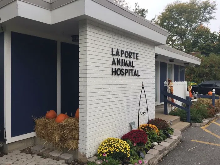 La Porte Animal Hospital Picture 4