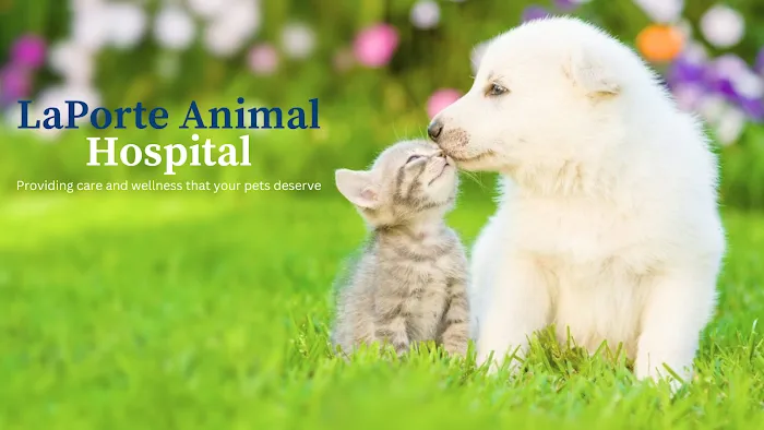 La Porte Animal Hospital Picture 10