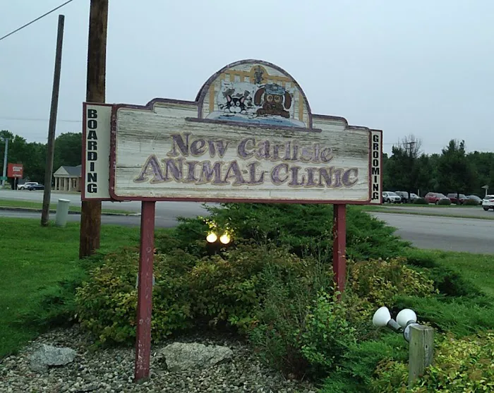 New Carlisle Animal Clinic Picture 7