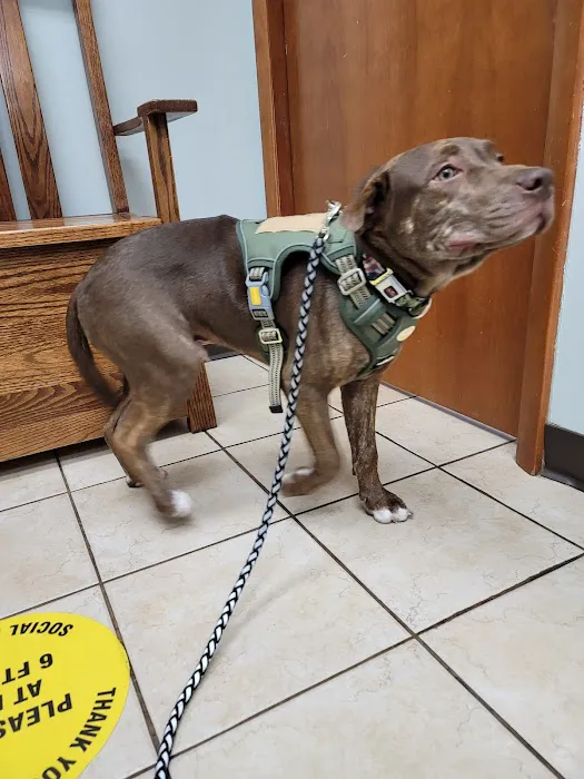 New Carlisle Animal Clinic Picture 10