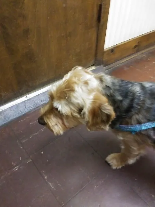 Three Oaks Veterinary Clinic Picture 5