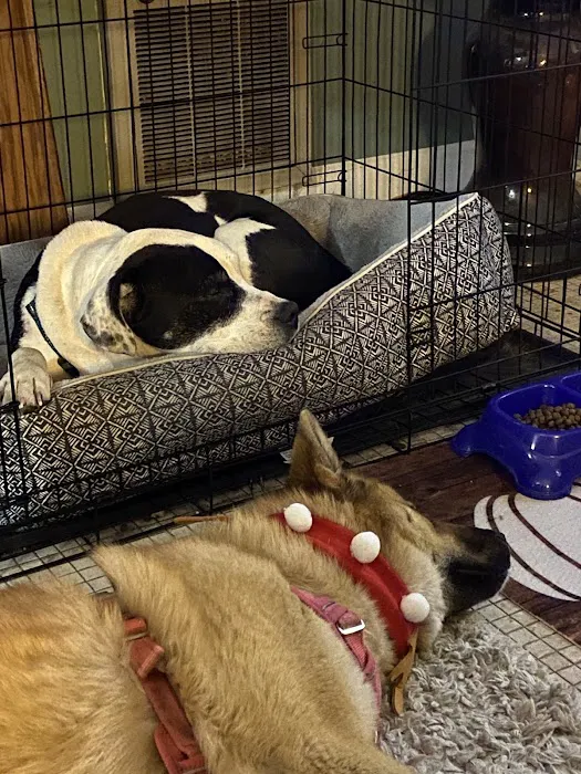 Hero Pet Animal Hospital Picture 1