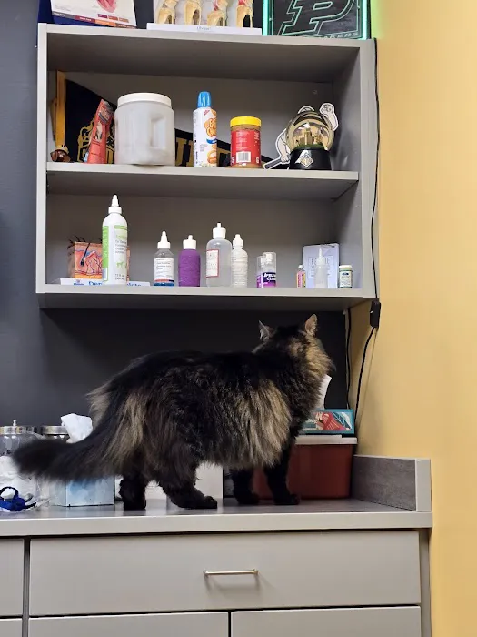 Hero Pet Animal Hospital Picture 4