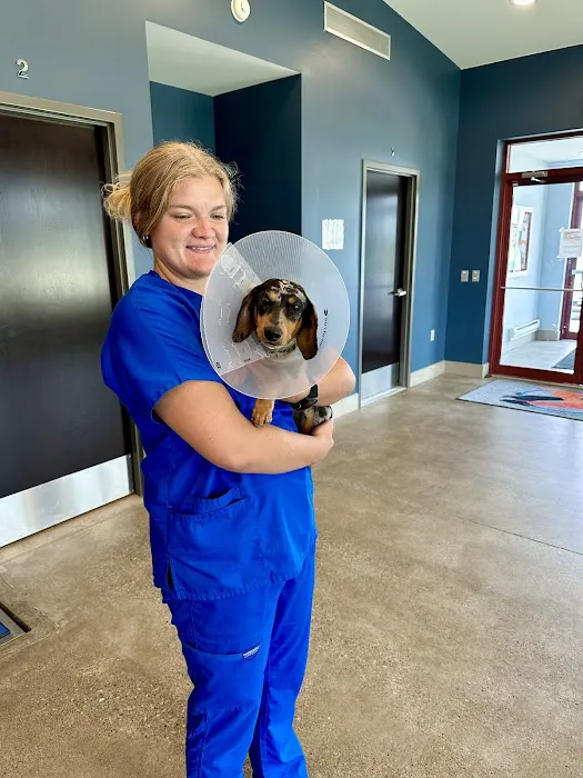 Hero Pet Animal Hospital Picture 7