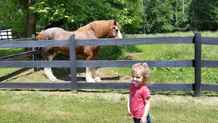 Bloom Animal Hospital Picture 6