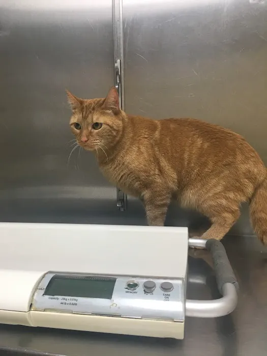 Boulevard Animal Hospital Picture 1