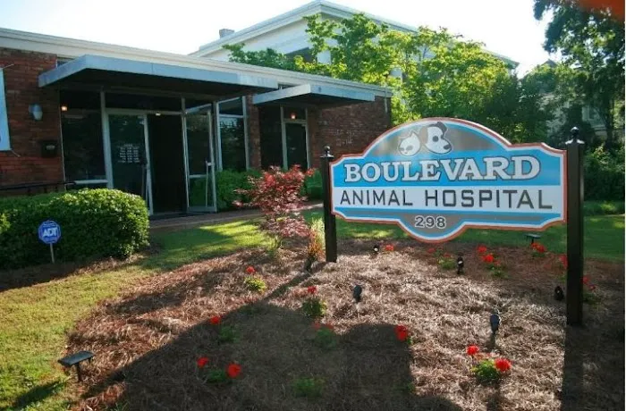 Boulevard Animal Hospital Picture 10