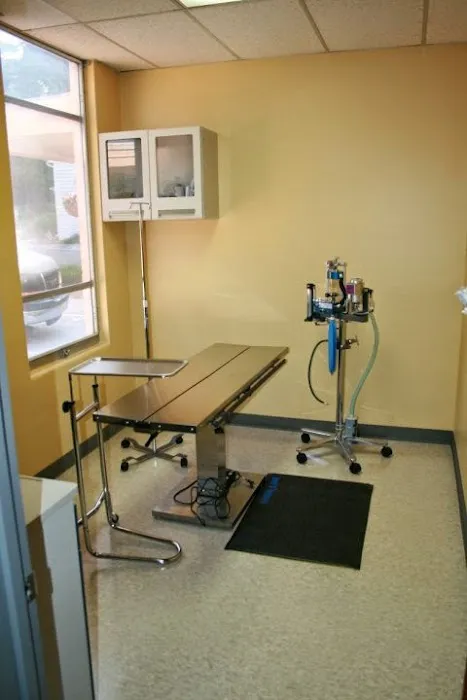 Boulevard Animal Hospital Picture 9