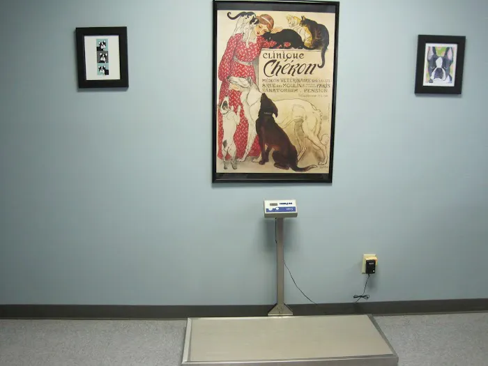 Shoal Creek Animal Clinic Picture 3