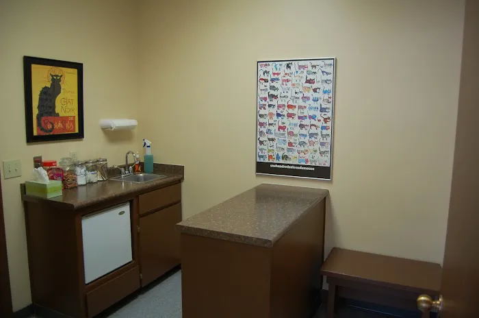 Shoal Creek Animal Clinic Picture 10