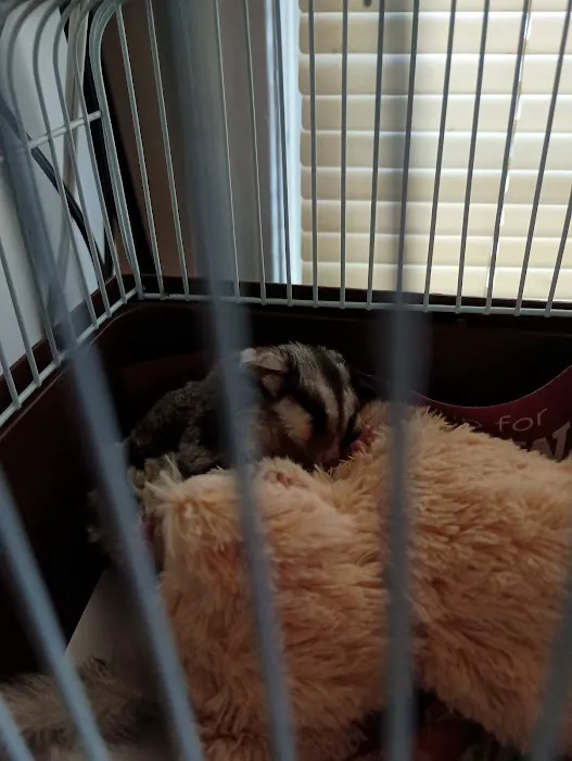 UGA Pet Health Center Picture 1