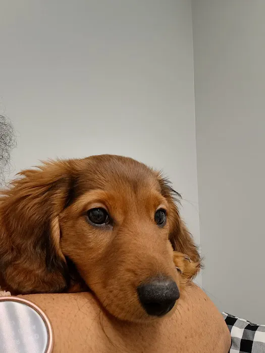 Hawthorne Animal Hospital Picture 1